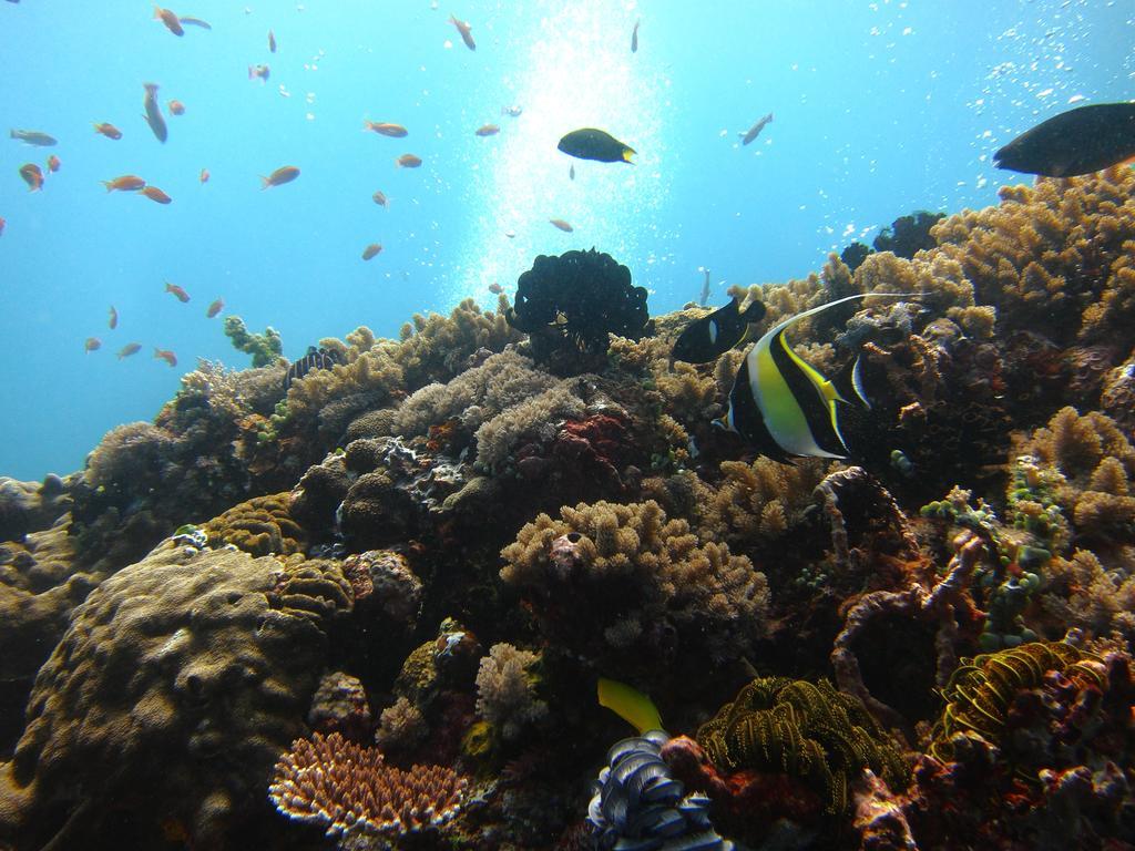 Badladz Dive Resort Puerto Galera Exterior foto