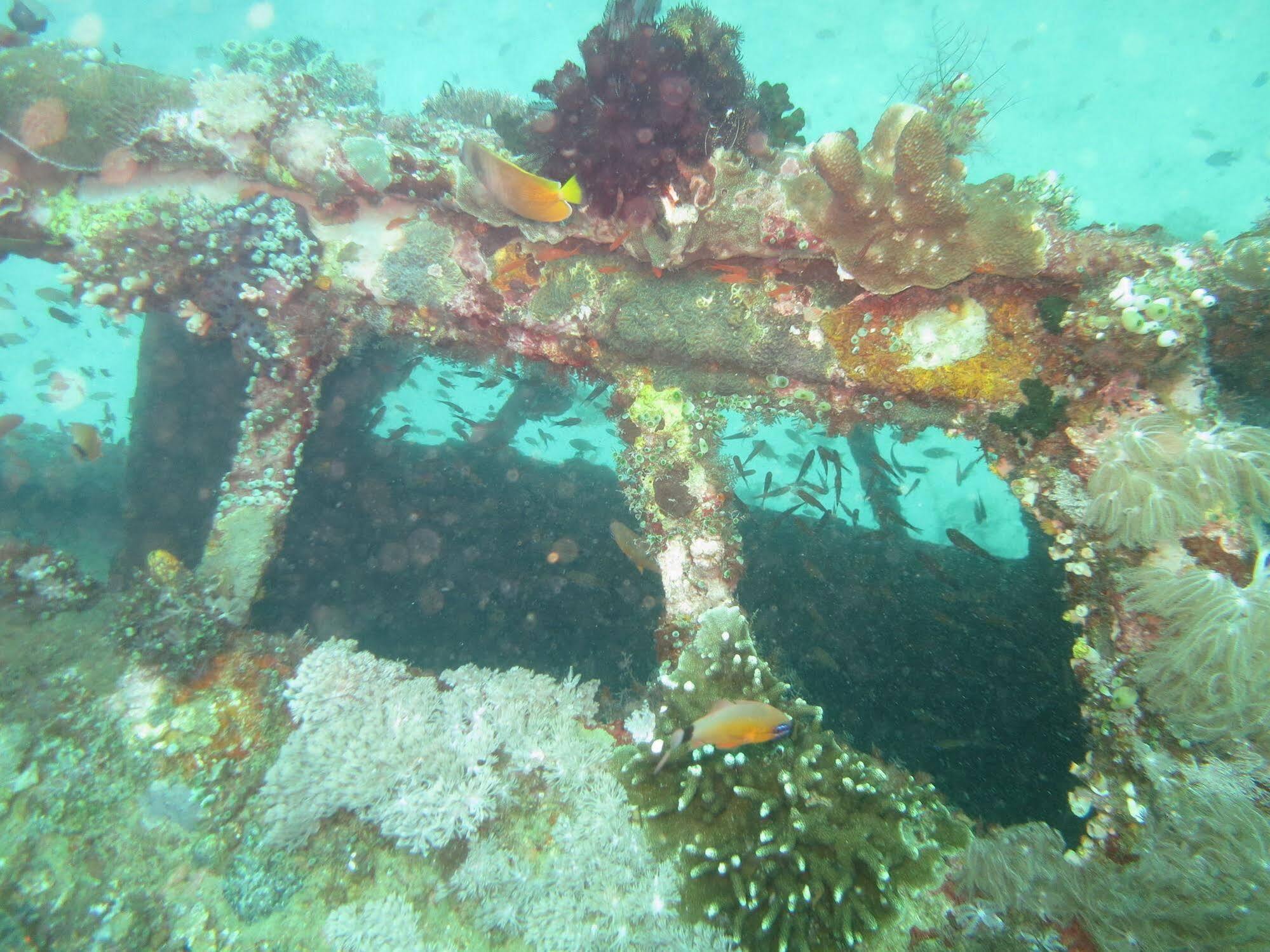 Badladz Dive Resort Puerto Galera Exterior foto